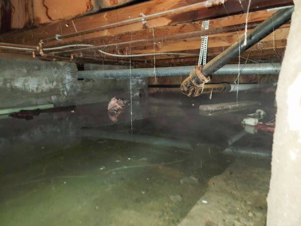Sewage cleanup and water damage restoration in West Point, VA