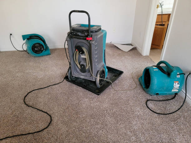 Best Flooded house restoration  in West Point, VA