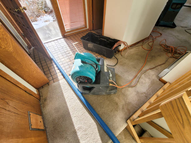Best Water damage restoration specialists  in West Point, VA