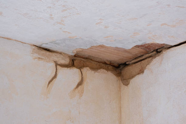 Best Ceiling water damage repair  in West Point, VA