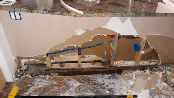 Best Carpet water damage restoration  in West Point, VA