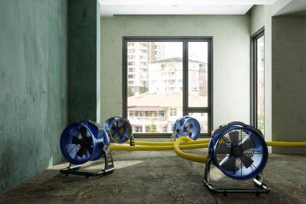 Best Fire Damage Restoration  in West Point, VA