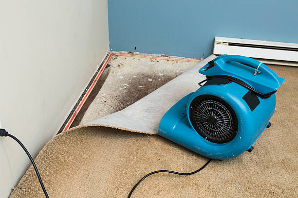 Best Water damage restoration near me  in West Point, VA