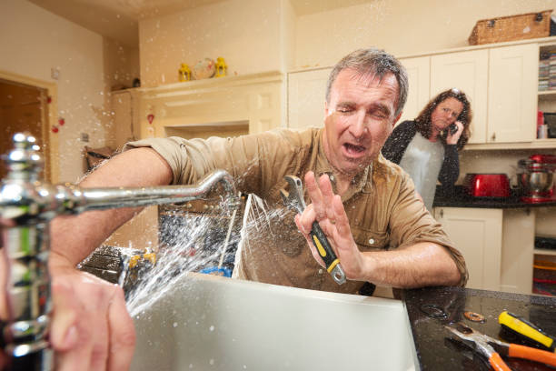 Best Flooded house restoration  in West Point, VA